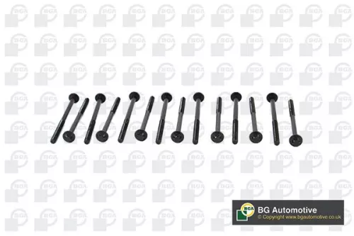 BGA BK2305 Cylinder Head Bolt Set Fits BMW 3 4 5 6 11127812925