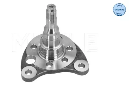 Meyle 100 501 0011 Rear Right Steering Knuckle Fits Seat VW Cordoba Golf Ibiza