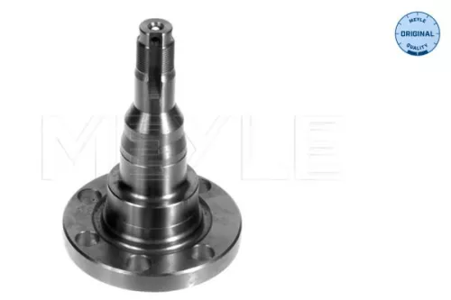 Meyle 100 501 1010 Rear Steering Knuckle Fits Audi Seat VW 80 90 Arosa Cordoba