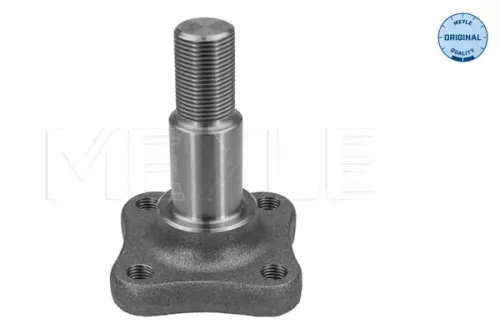 Meyle 16-14 501 0000 Rear Steering Knuckle Fits Dacia Renault Clio Logan